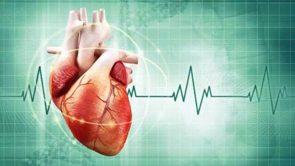 Cardiobalance en Bilbao: Cuide su corazón y mejore su salud cardiovascular