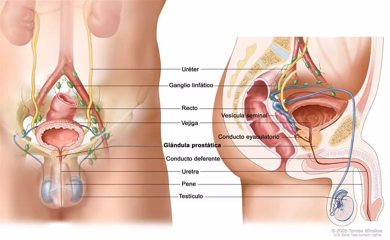 Compra Prostamin en Lleida – Tratamiento efectivo para la próstata